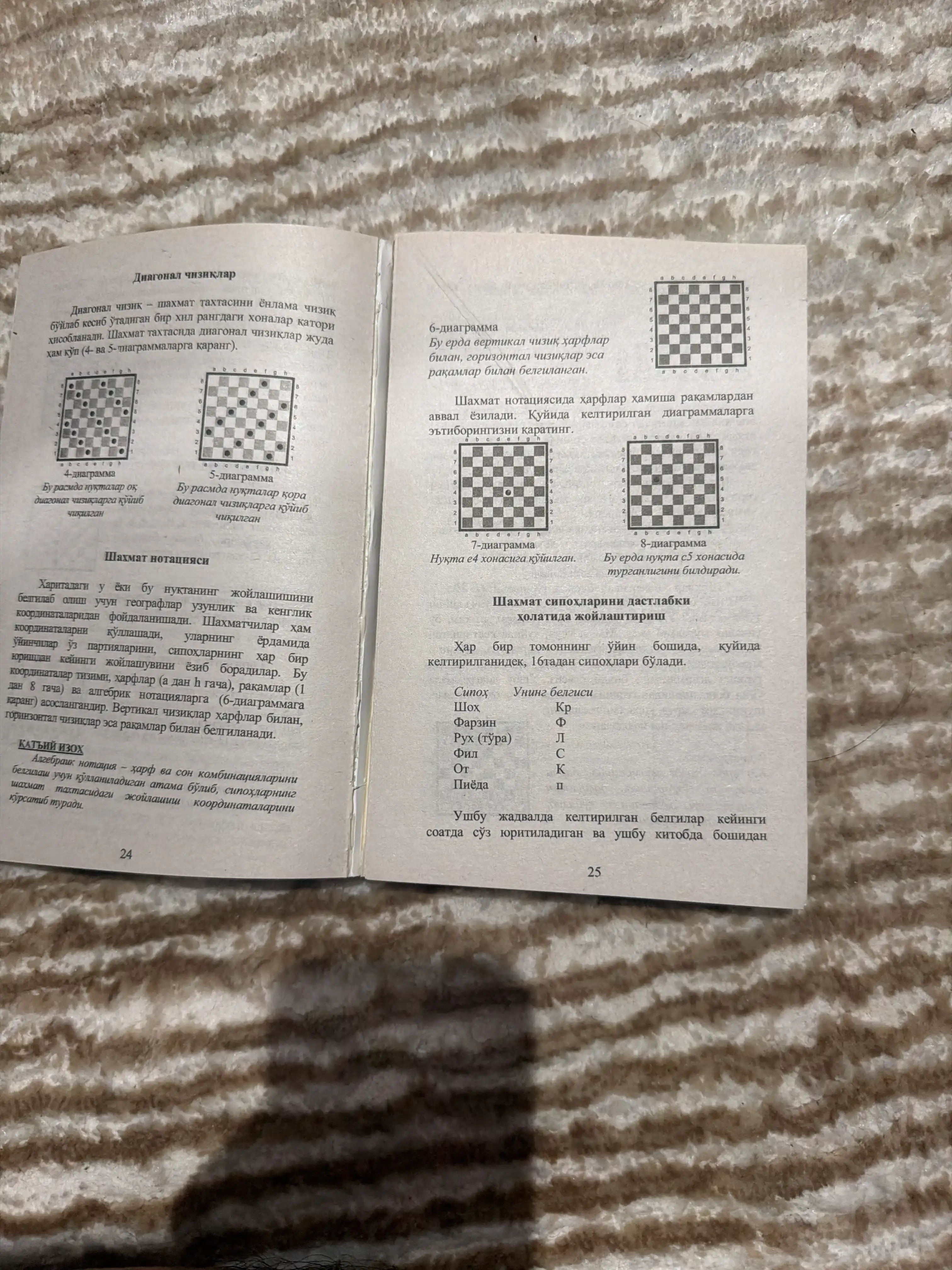 24 Soatda shaxmat o'rganish, Juja Polgar, Pol Truong, Lesli Gorvits