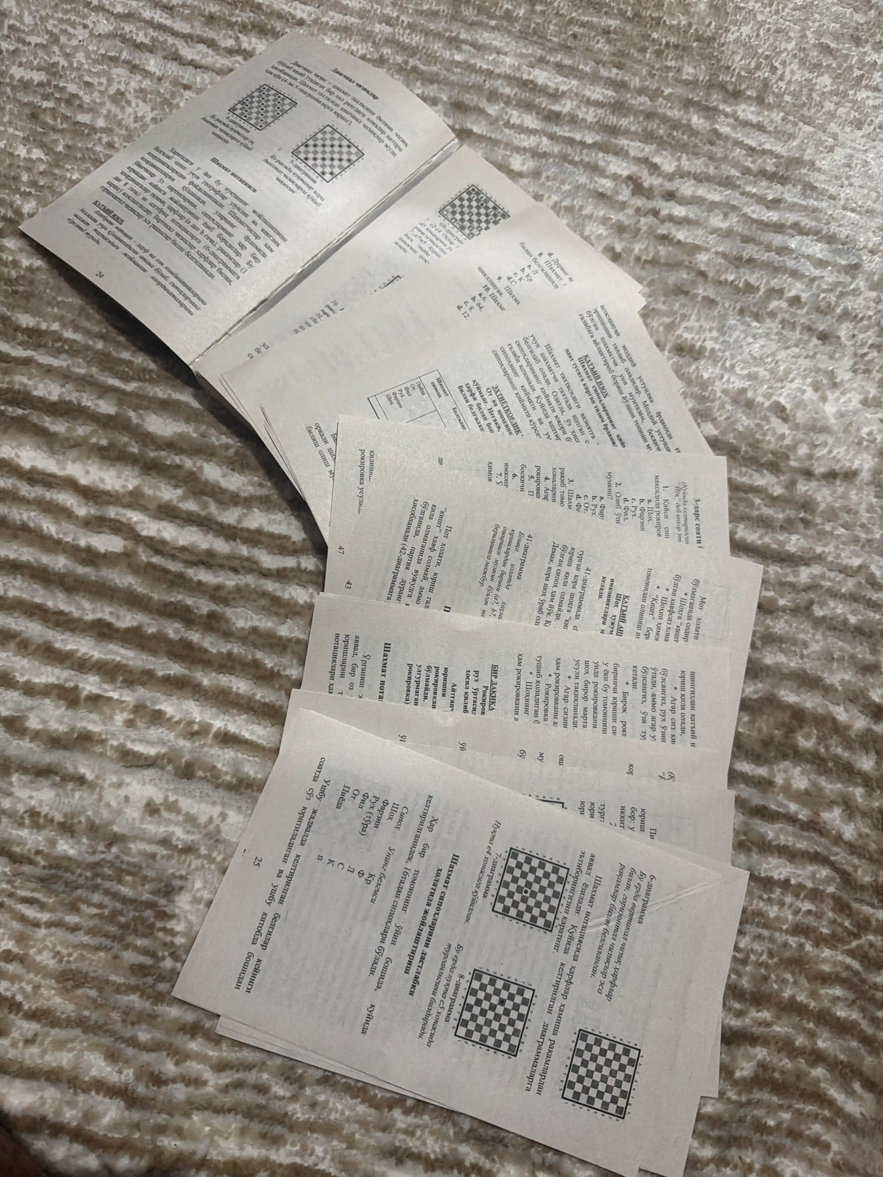 24 Soatda shaxmat o'rganish, Juja Polgar, Pol Truong, Lesli Gorvits