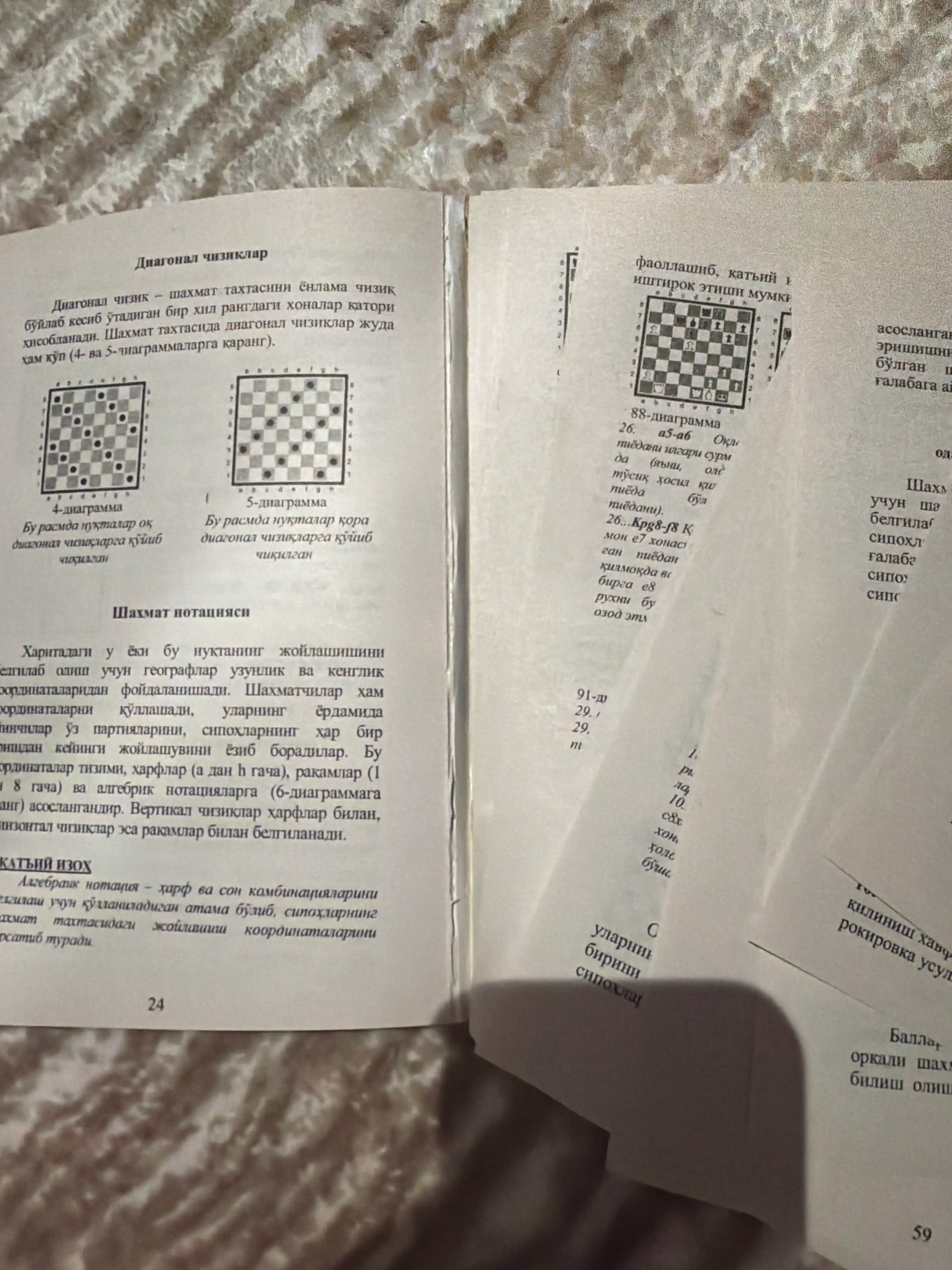 24 Soatda shaxmat o'rganish, Juja Polgar, Pol Truong, Lesli Gorvits