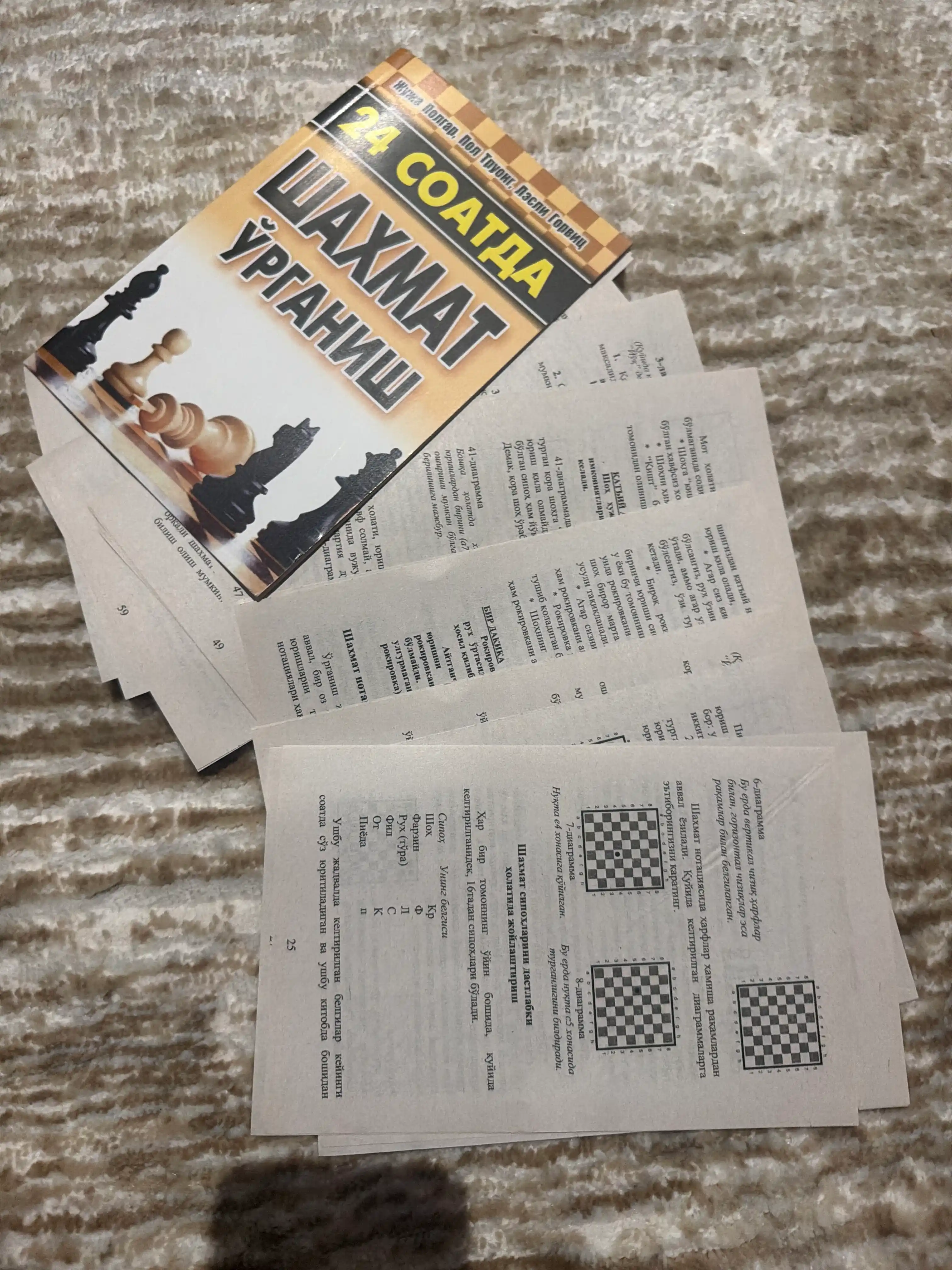 24 Soatda shaxmat o'rganish, Juja Polgar, Pol Truong, Lesli Gorvits