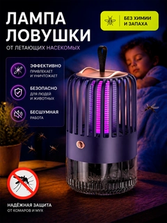 Фиолетовый