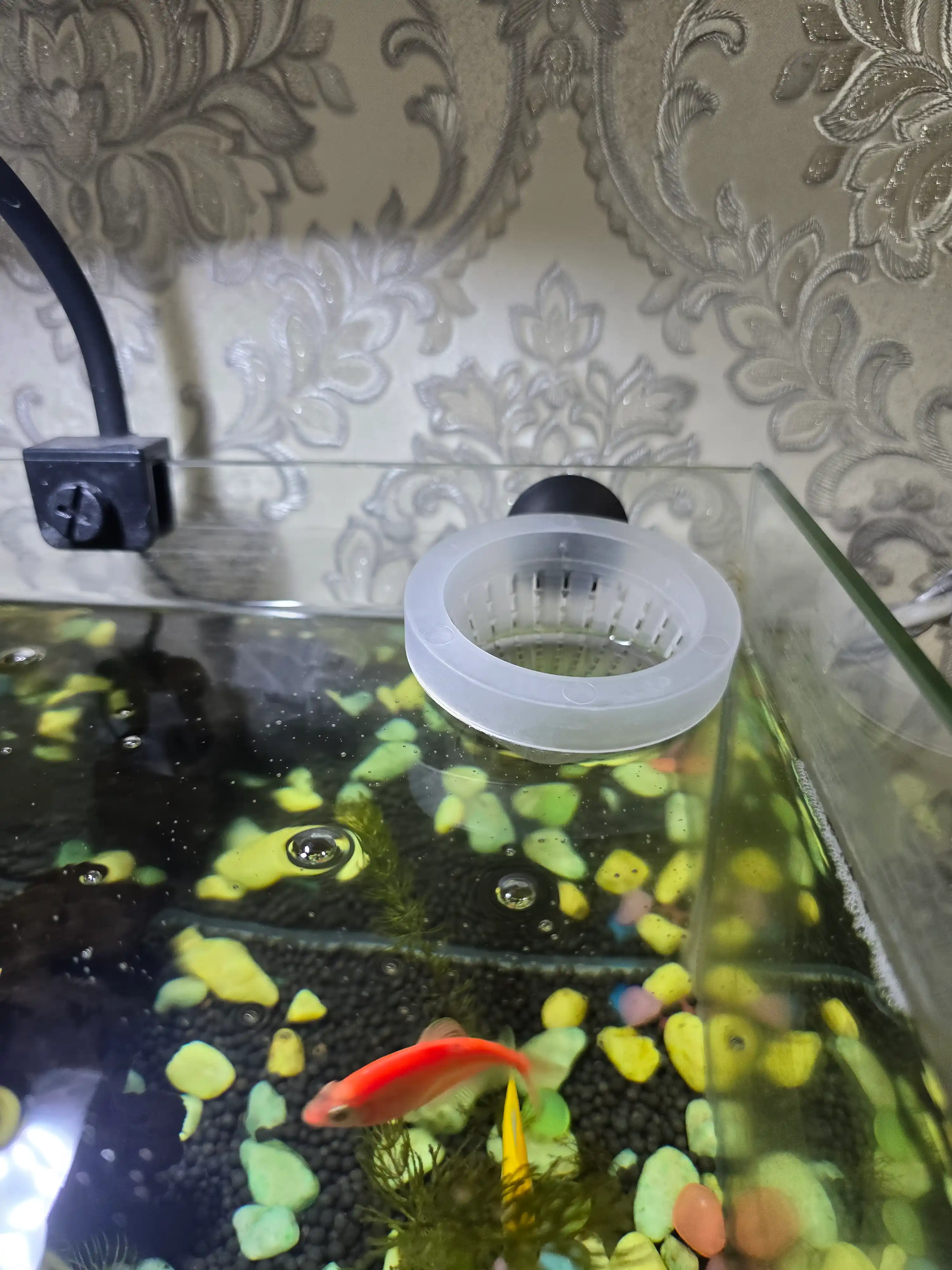 So‘rg‘ichli plastik akvarium oziqlantiruvchi 7 sm qizil qurt konusli oziqlantiruvchi bezak