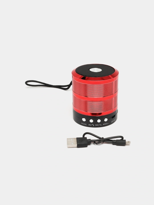 WS-887 ko‘chma karnay, mini karnay