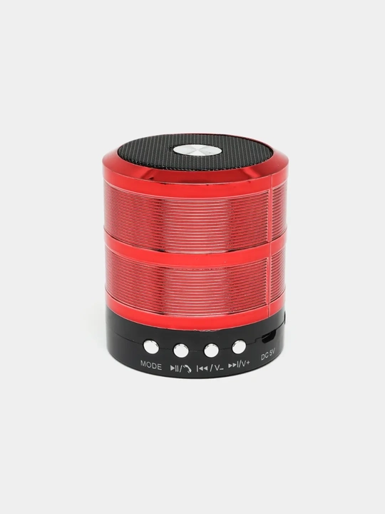 WS-887 ko‘chma karnay, mini karnay