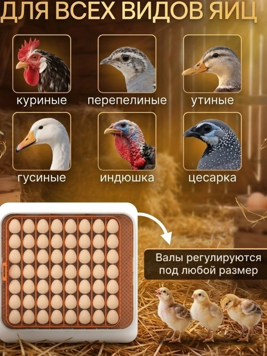 Автоматический инкубатор для яиц с автоповоротом, терморегулятором и дисплеем