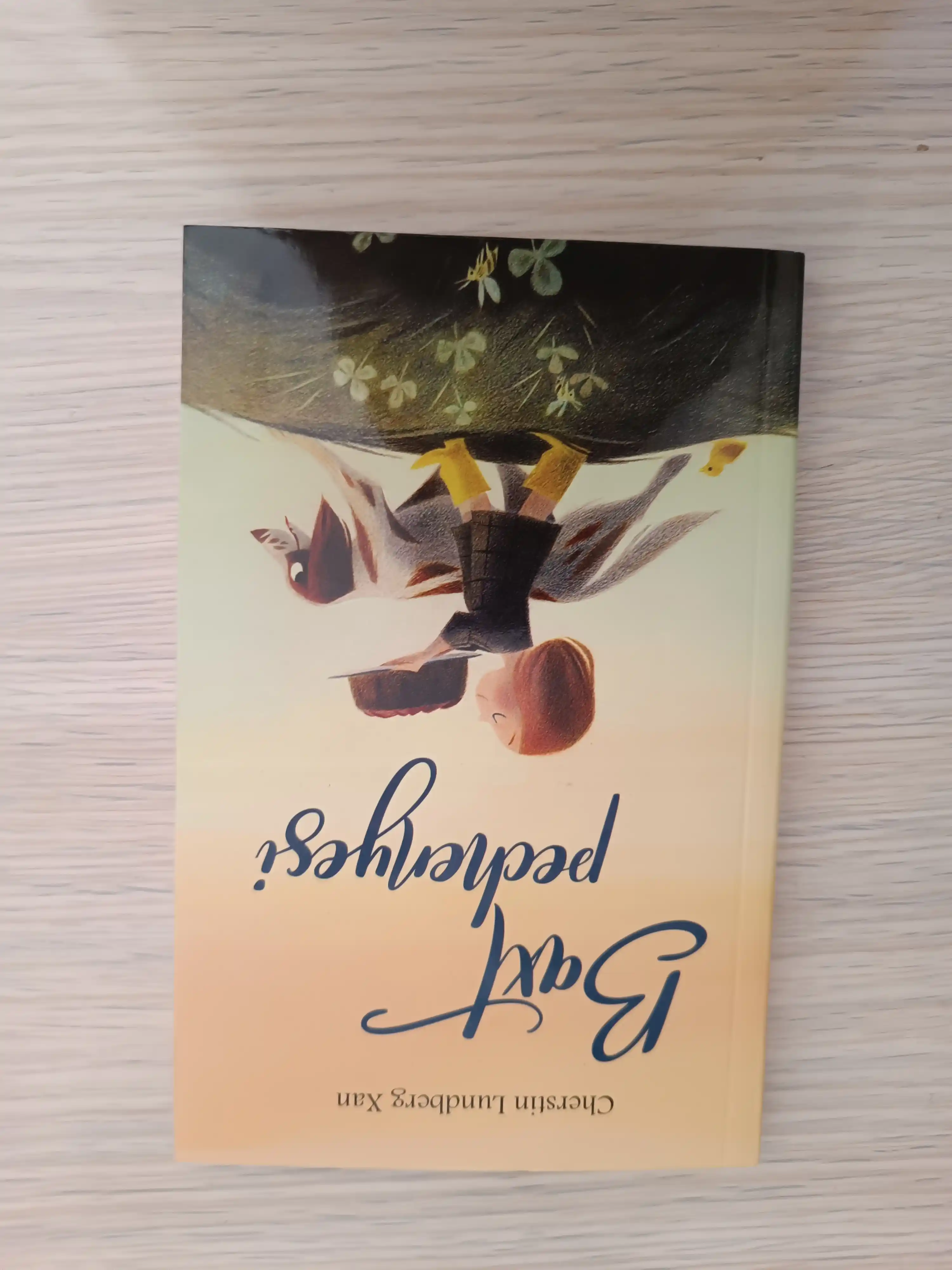 Бахт печеньеси. Черстин Люндберг Хан