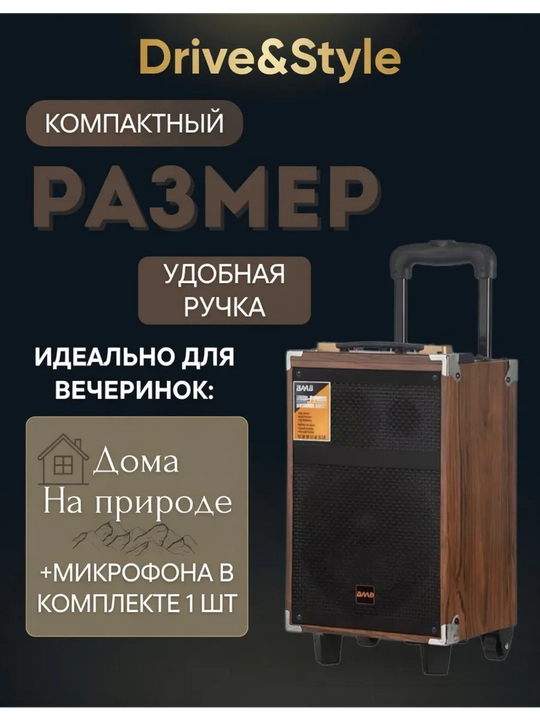 Портативная беспроводная колонка для караоке с микрофоном, Bluetooth и пультом