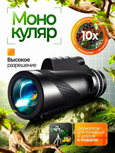 Бинокль монокуляр 10х42 мощный, призма BAK4, durbin для охоты, рыбалки и телефона
