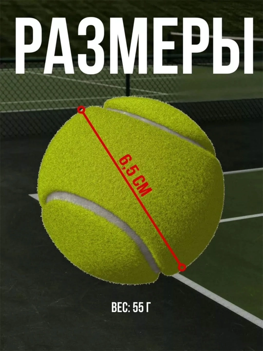 Katta tennis, kir yuvish, massaj va hayvonlar bilan oyinlar  tenis to'pchasi donauchun top