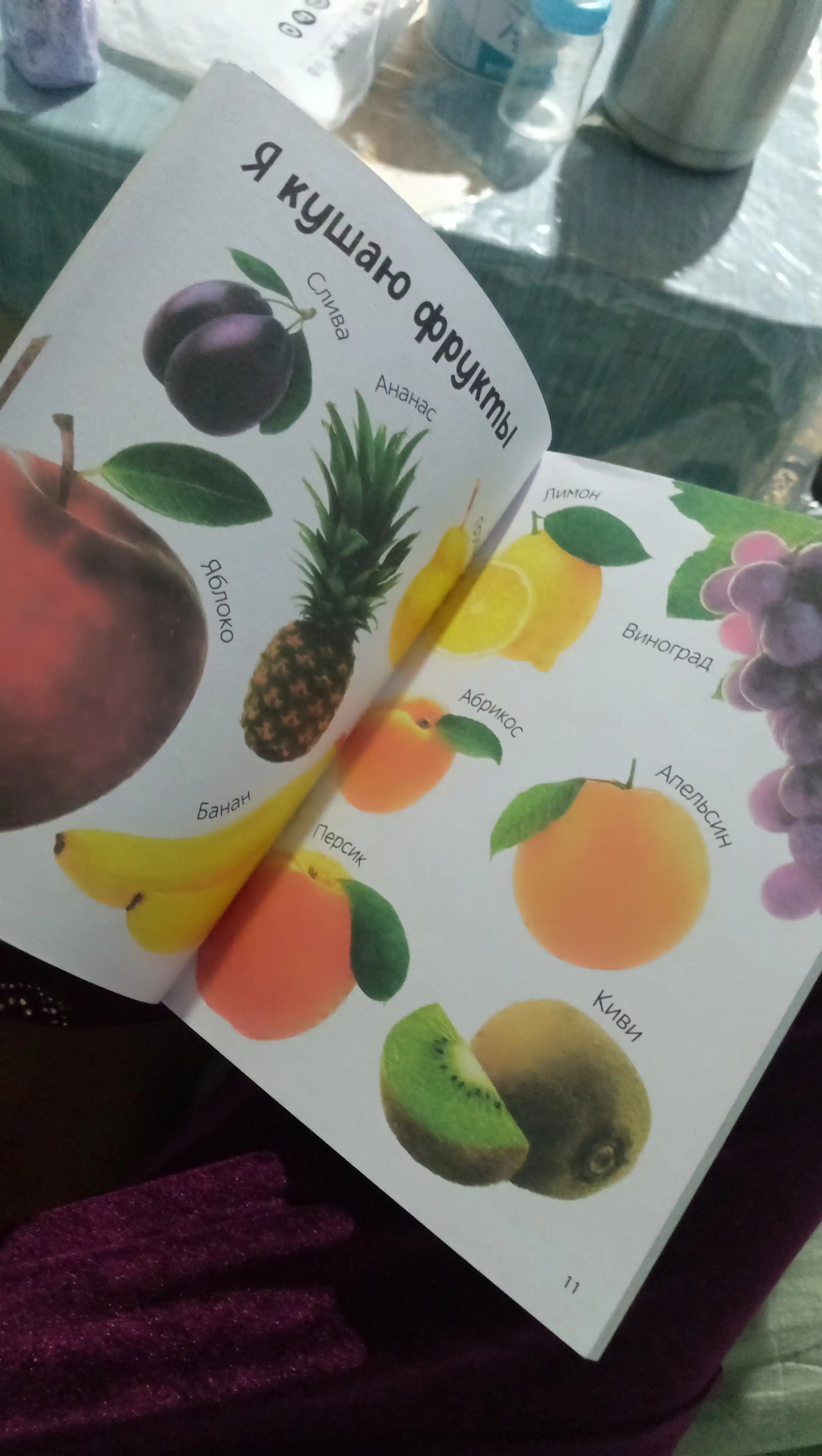 Bolalar uchun rasmali lug'at: Ilk 500 so'z, 80 bet, qattiq muqova, rivojlantiruvchi kitob