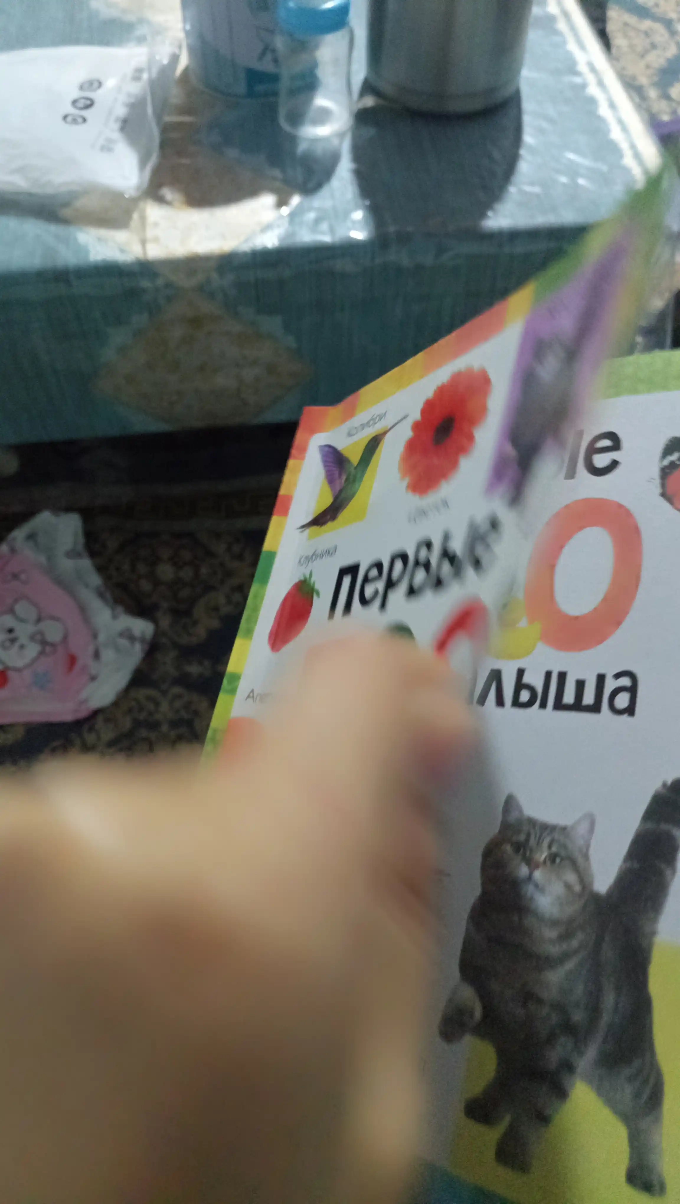 Bolalar uchun rasmali lug'at: Ilk 500 so'z, 80 bet, qattiq muqova, rivojlantiruvchi kitob