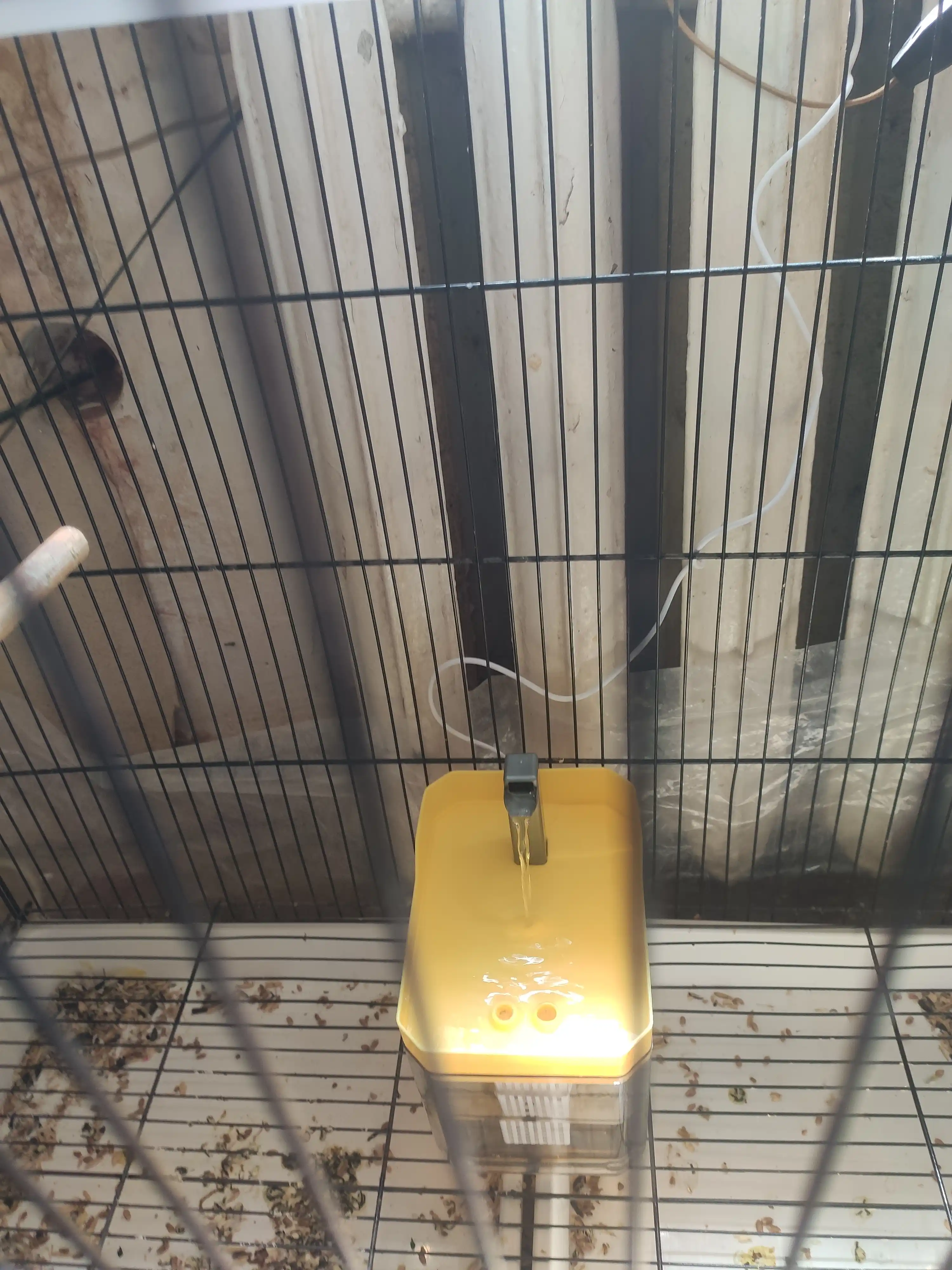 Mushuklar, mushukchalar va itlar uchun favvora, jo‘mrakli, USB orqali quvvatlanad