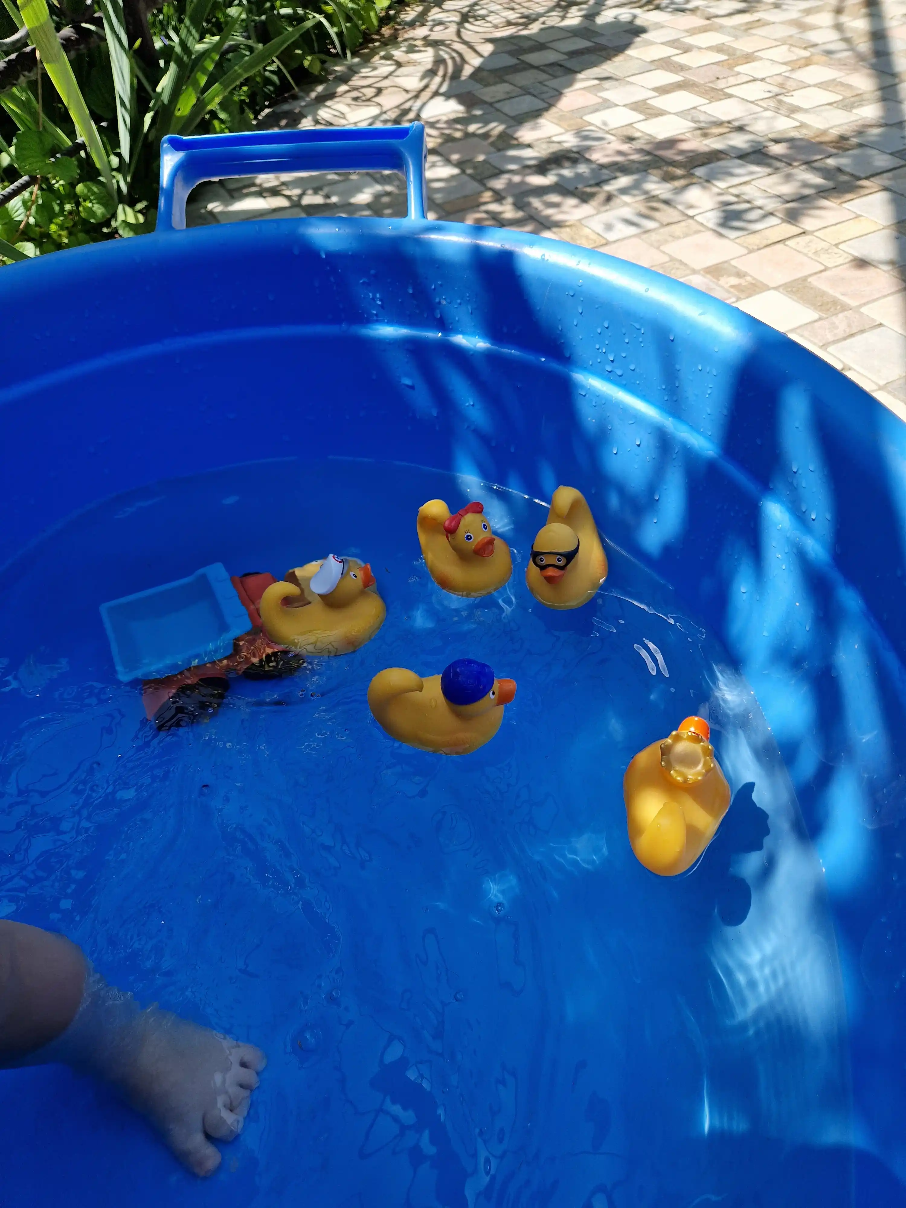 DJECO Fishing o'yini Fishing ducks