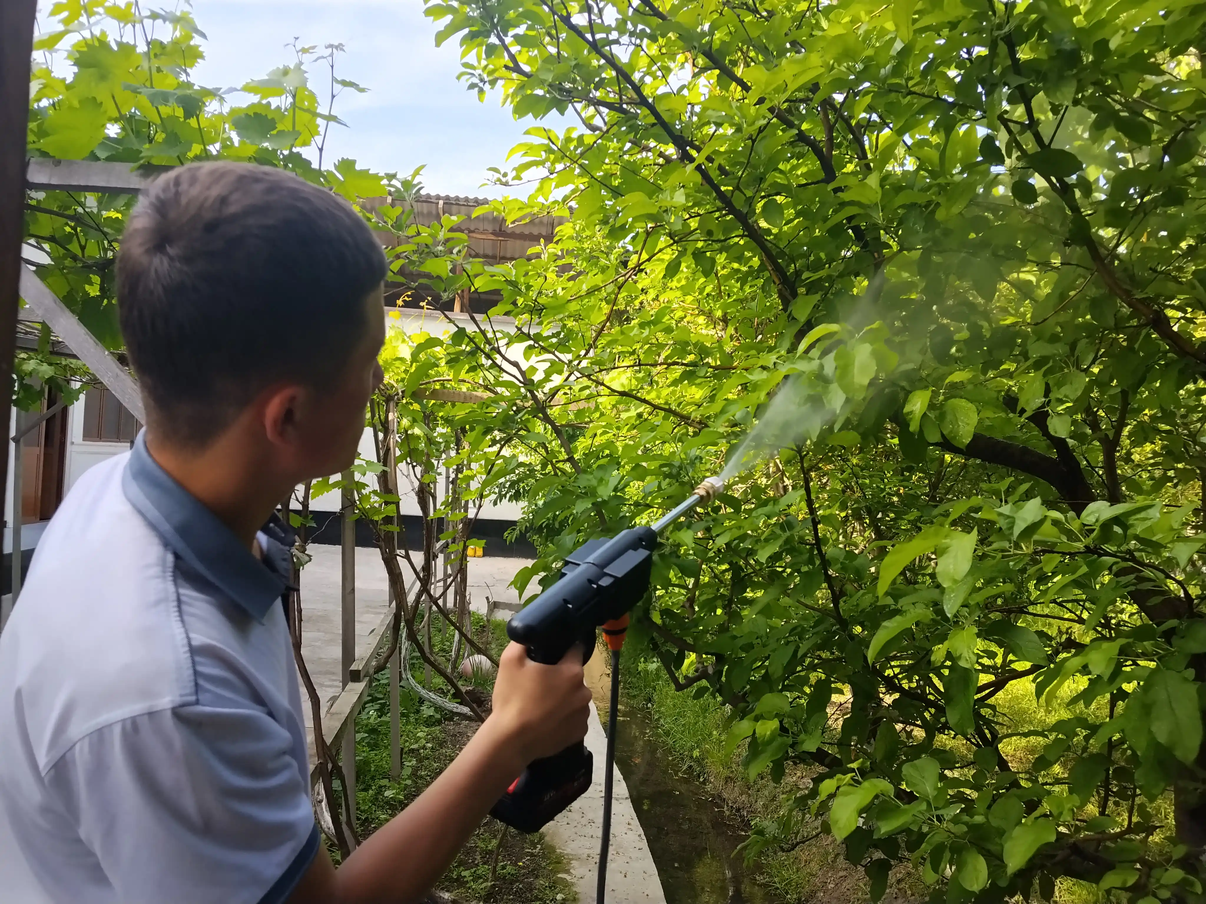 Akkumulyatorli mini moyka 48V, avtomobil va uy uchun ko‘pikli bosimli purkagich