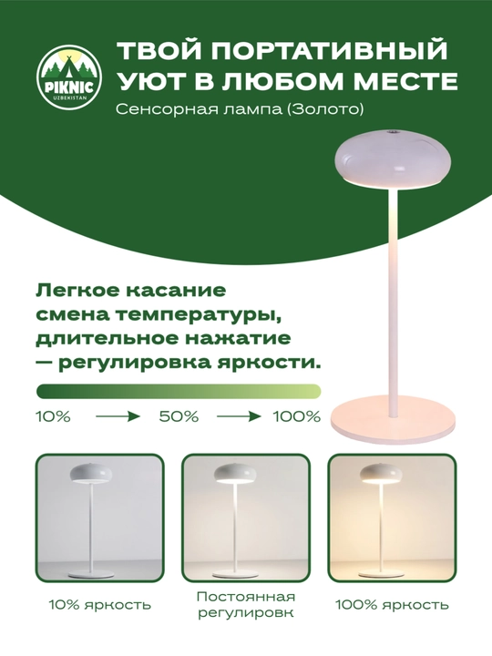 "Piknic" portativ dekorativ chirog'i (Tungi chiroq) - 