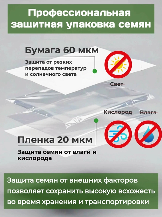 Baland bo‘yli golubika urug‘i, o‘rmon xazinasi, 20 dona
