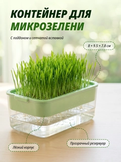 Желтый