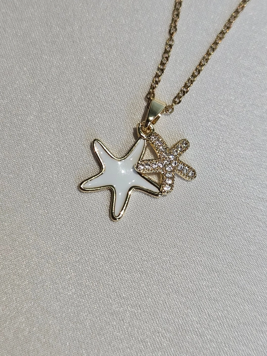 Dengiz yulduzchalari bilan zanjir, stainless steel, zanglamaydigan po‘lat, toshli - 