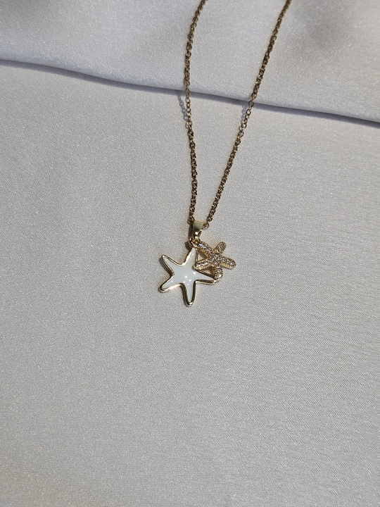 Dengiz yulduzchalari bilan zanjir, stainless steel, zanglamaydigan po‘lat, toshli