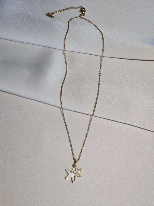 Dengiz yulduzchalari bilan zanjir, stainless steel, zanglamaydigan po‘lat, toshli