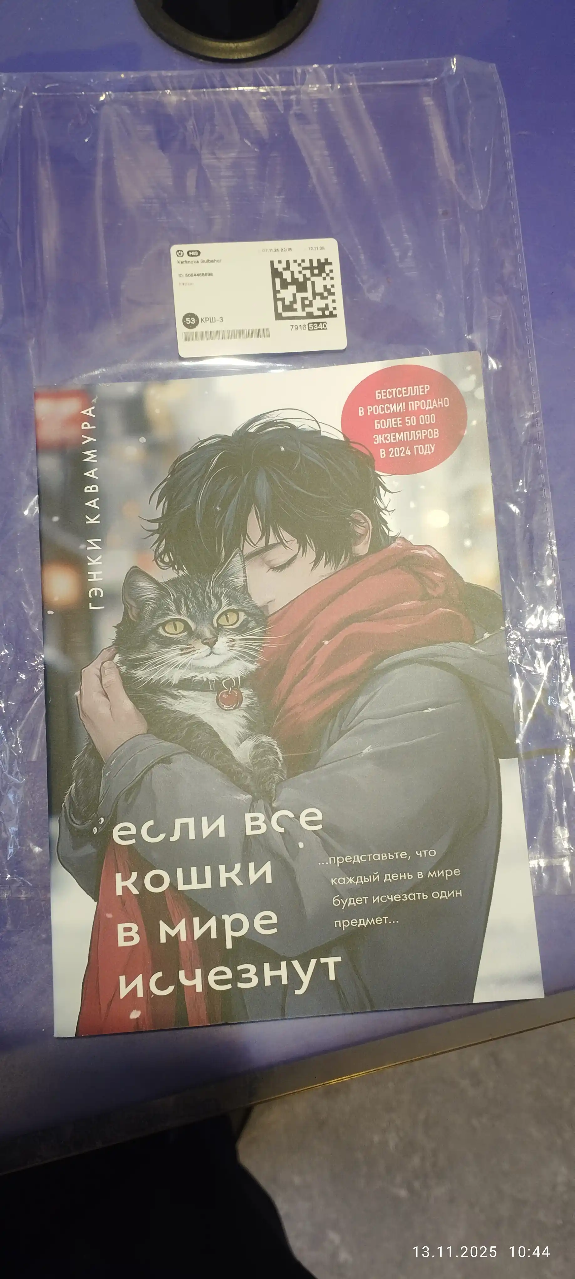 Если все кошки в мире исчезнут, Гэнки Кавамура