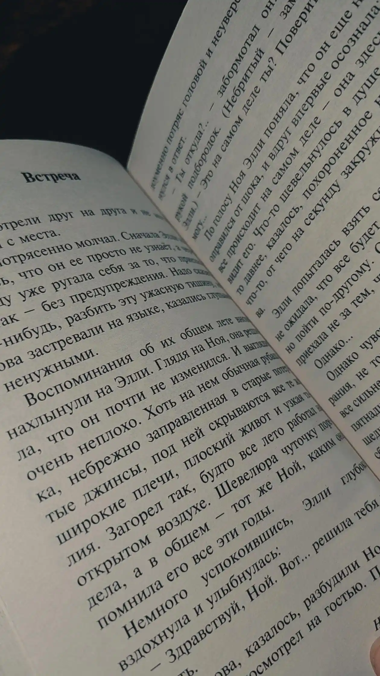 Дневник памяти, Николас Спаркс