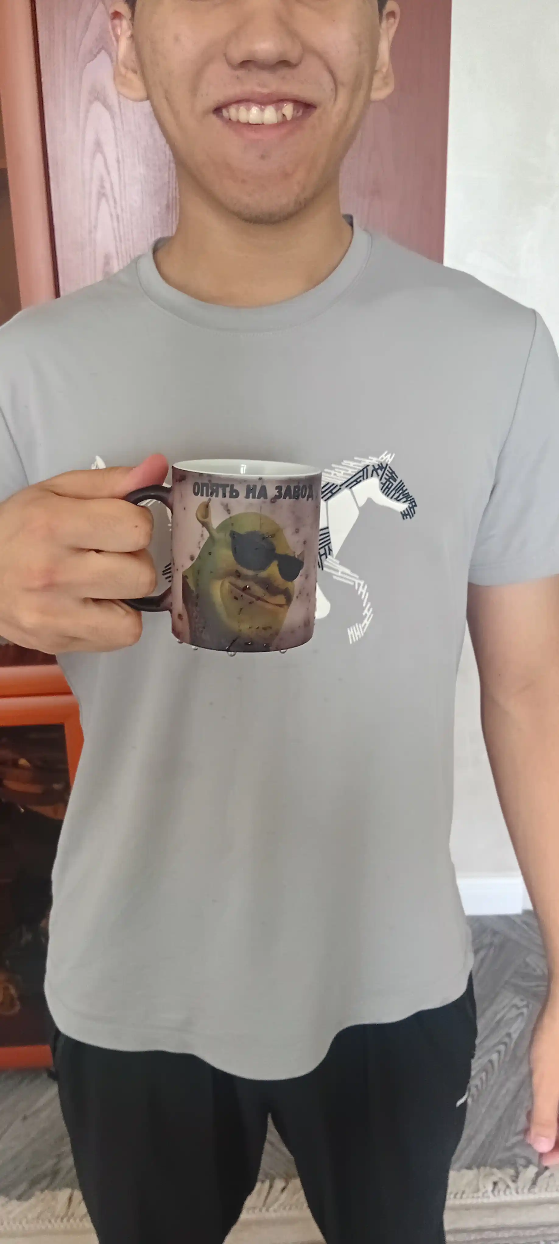 Krujka-xameleon, rangini o‘zgartiradigan, sovg'a krujkasi, bosmali, keramika, shrek