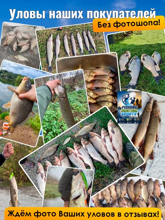 Karpsimon qarmoq