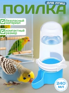 Белый