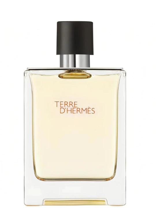 Туалетная вода для мужчин Hermes Terre D'Hermes, 100 мл