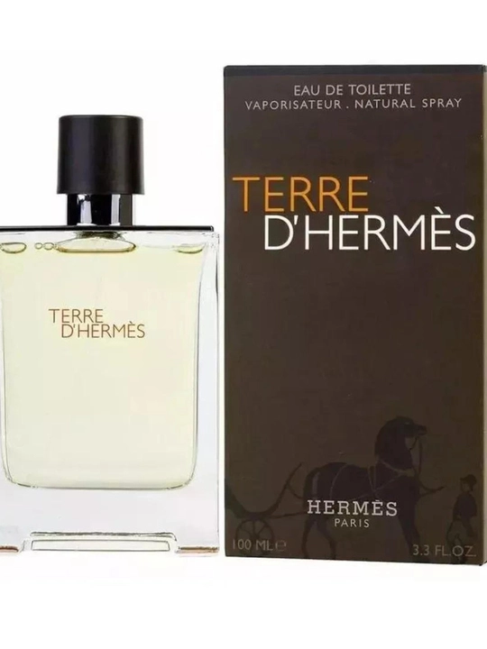 Туалетная вода для мужчин Hermes Terre D'Hermes, 100 мл - 