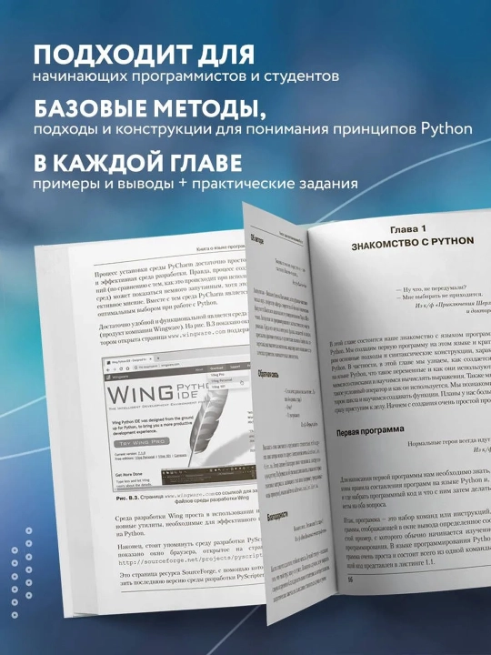 Программирование на Python в примерах и задачах. Васильев А.Н.