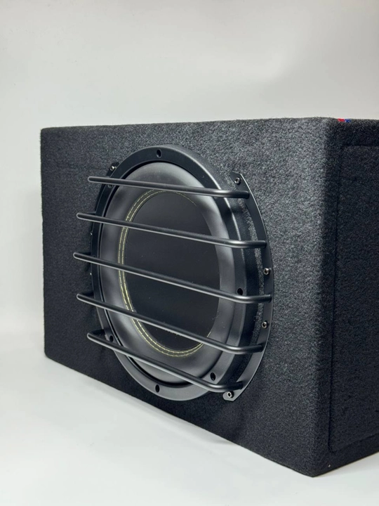 Активный сабвуфер Danty DT-308 10" 500W, SSI 2/4 Ом