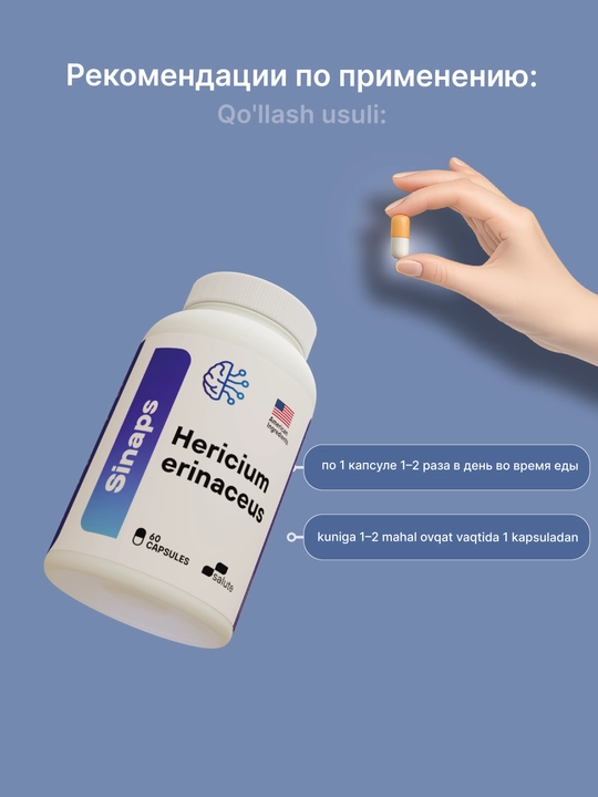 Sinaps, Hericium Erinaceus 400 мг, капсулы для поддержки когнитивных функций