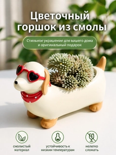 Oq