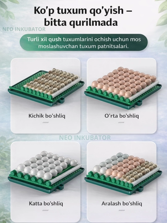 To'liq avtomatik inkubator, 12/24/36/64/100/128/200/300/400, 12V va 220V dan ishlaydi