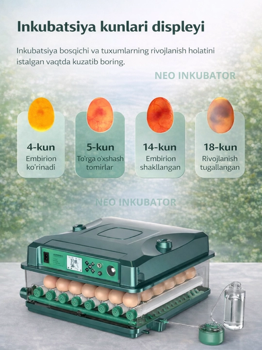 To'liq avtomatik inkubator, 12/24/36/64/100/128/200/300/400, 12V va 220V dan ishlaydi