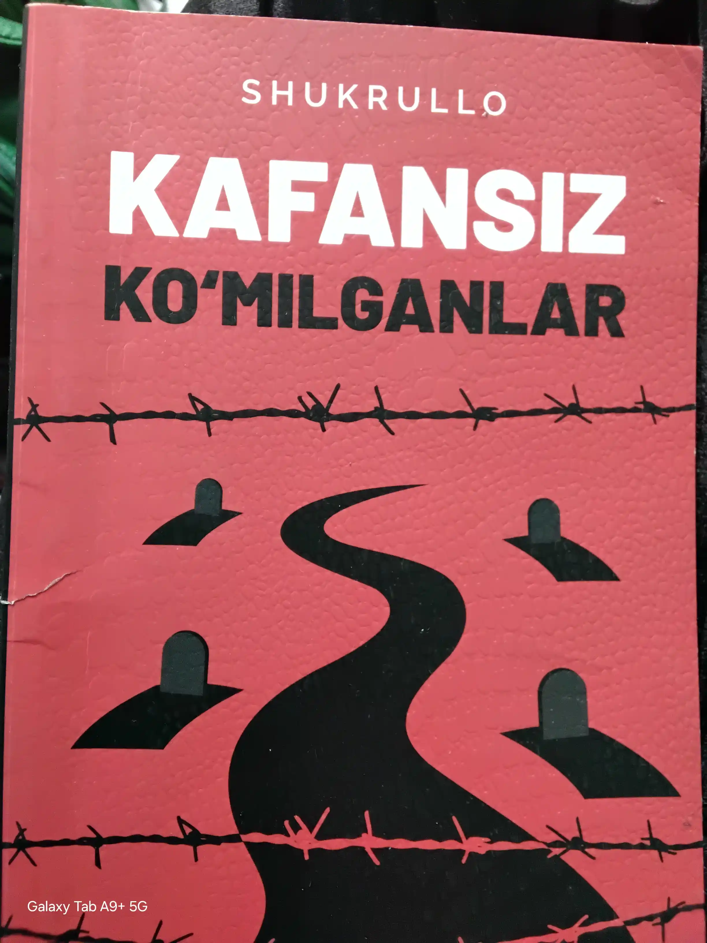 Кафансиз кўмилганлар, Шукрулло – Адолат излаган виждонларнинг фарёди