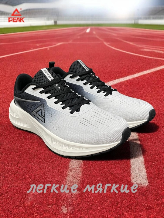 PEAK SPORT erkaklar krossovkasi, 40-46, 47, 48 Running, yugurish uchun