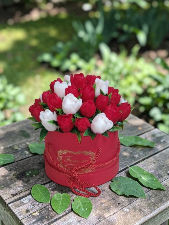 Sovun lolalari - manzarali gullar - 