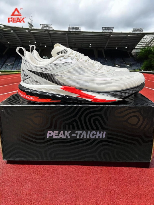 PEAK SPORT 3D Print erkaklar yugurish krossovkalari