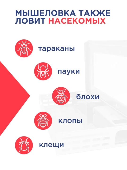 Sichqon gumanna, to’rtburchakli metall jivovka, kalamush va sichqonlar uchun tuzoq