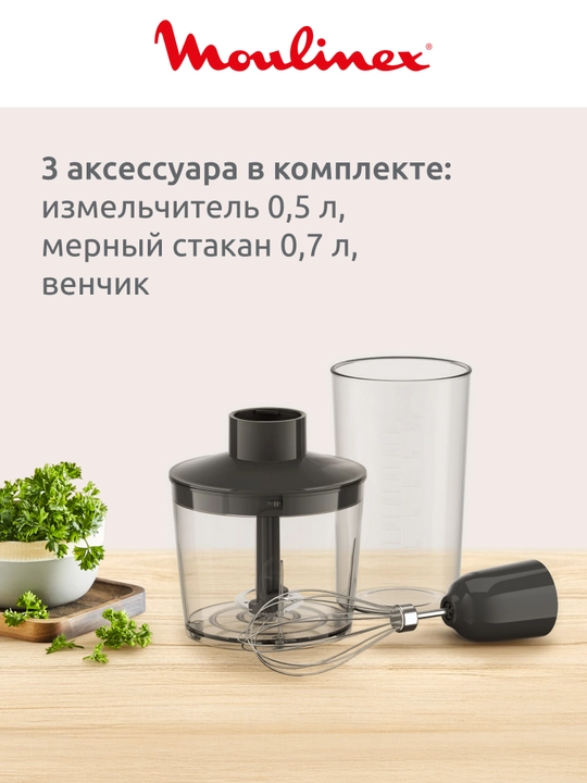 Блендер погружной Moulinex DD5R38F0