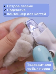 Голубой