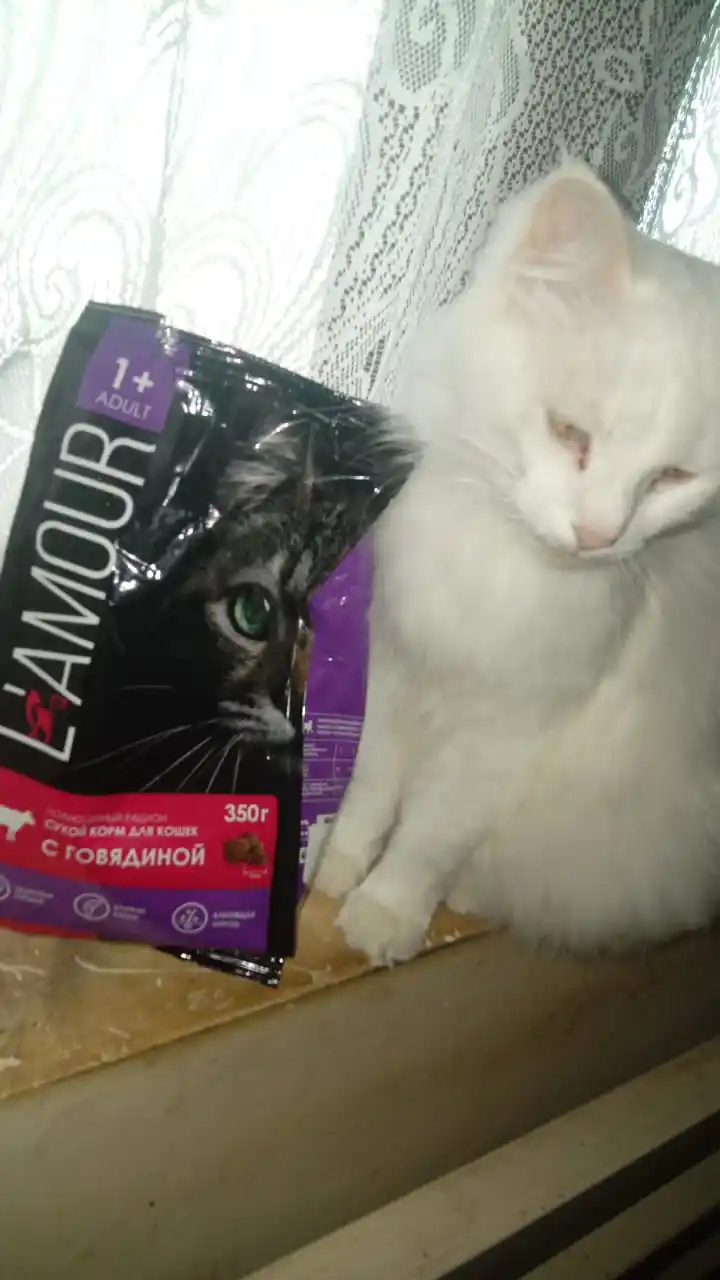 Lamour mushuklar uchun quruq yem mol go‘shtli, 350 gr