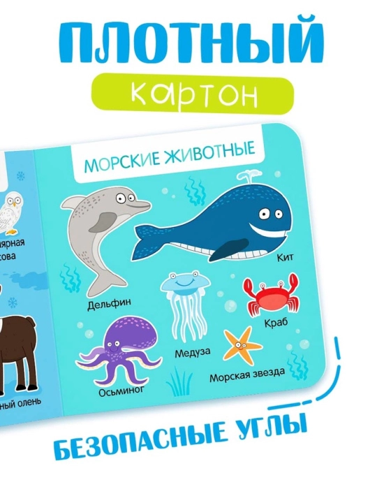 Картонная книга для малышей, 10 стр, азбука, животные, цифры, транспорт, фрукты, овощи