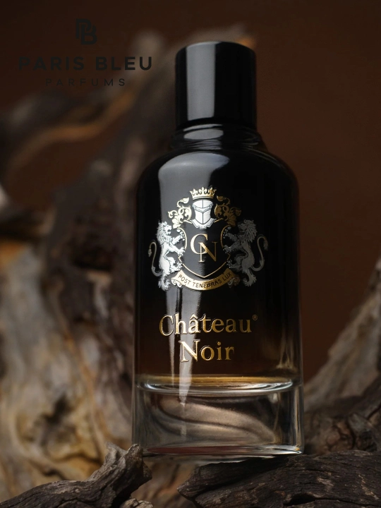 Erkaklar parfyumlangan suvi Paris Bleu Château Noir EDP 100 ml, ud, amber va sandal ifori