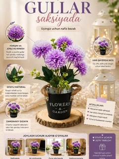 Lavanda