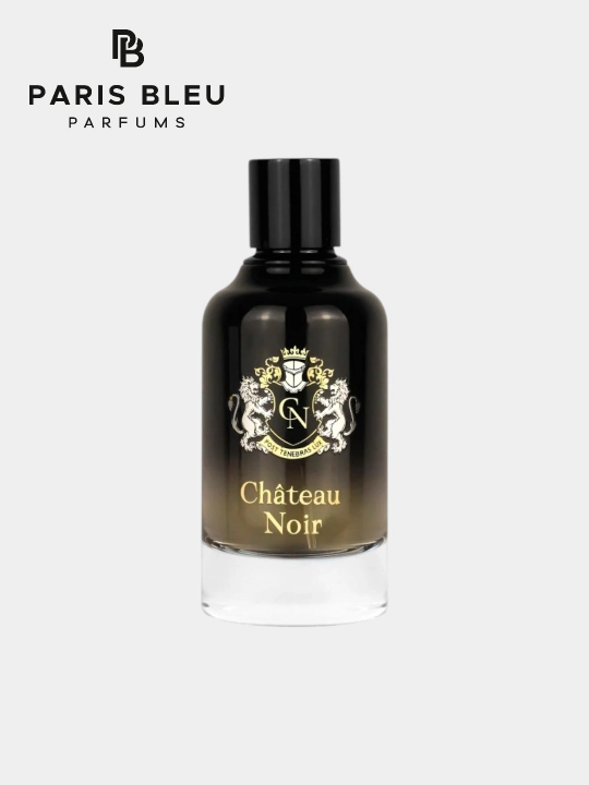 Мужская парфюмерная вода Paris Bleu Château Noir EDP 100 мл, аромат уда, амбры и сандала - 
