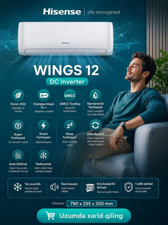 Кондиционер Hisense WINGS 12 DC Inverter - 